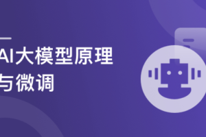 AI大模型算法-从大模型原理剖析到训练(微调)落地实战（包更新）
