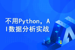 不用Python、SQL! AI数据分析全流程实战课